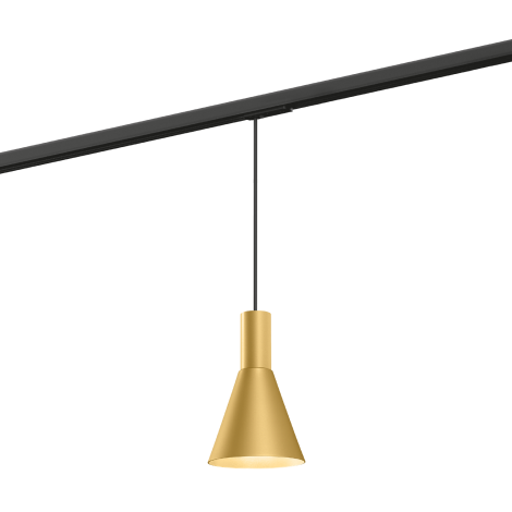 Wever & Ducrè Odrey On Track 1.4 PAR16 track pendant lamp