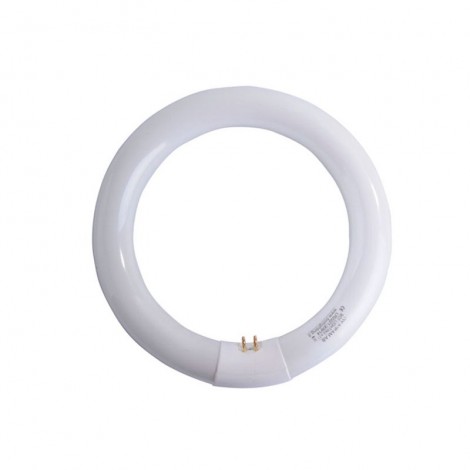 Airam Lampada Circolare T9 22W 865 G10Q 1200lm 6500K Circolina Airam Lampada Circolare T9 22W 865 G10Q 1200lm 6500K Circolina