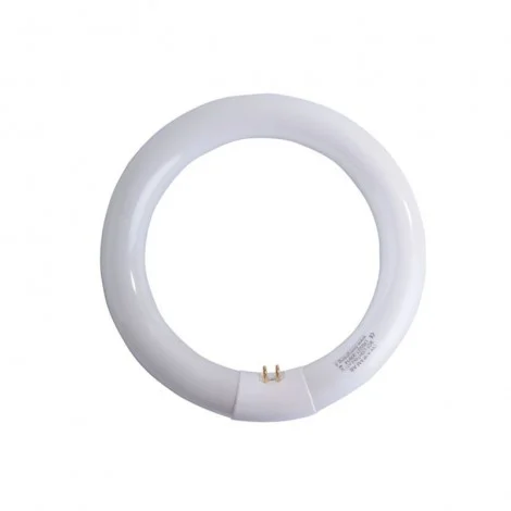 Airam Lampada Circolare T9 22W 865 G10Q 1200lm 6500K Circolina