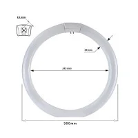 Duralamp Lampada Fluorescente Circolare T9 32W 840 2415lm 29mm Duralamp Lampada Fluorescente Circolare T9 32W 840 2415lm 29mm