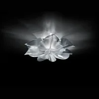 Slamp Étoile Ceiling Lampada Da Soffitto LED Dimmerabile Con Slamp Étoile Ceiling Lampada Da Soffitto LED Dimmerabile Con