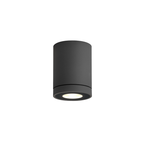 Wever & Ducrè Tube 1.0 PAR16 outdoor ceiling lamp