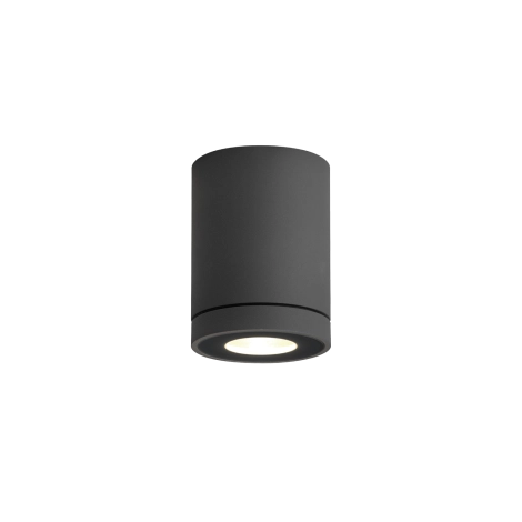 Wever & Ducrè Tube 1.0 PAR16 outdoor ceiling lamp