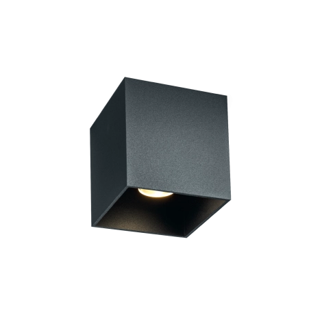 Wever & Ducrè Box Outdoor 1.0 outdoor ceiling lamp