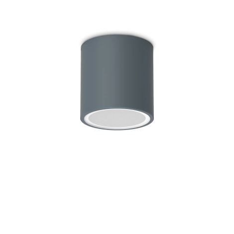 Ideal Lux Techo PL1 outdoor ceiling lamp