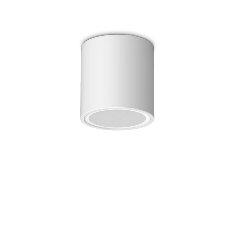 Ideal Lux Techo PL1 outdoor ceiling lamp