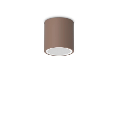 Ideal Lux Techo PL1 outdoor ceiling lamp