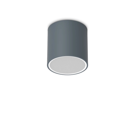 Ideal Lux Techo PL1 outdoor ceiling lamp