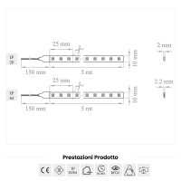 Lampo Strip Striscia LED 3528 240led/m 24V 19.2W/mt Bobina 5