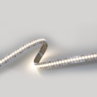 Lampo Strip Striscia LED 3528 240led/m 24V 19.2W/mt Bobina 5