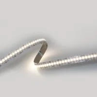 Lampo Strip Striscia LED 3528 240led/m 24V 19.2W/mt Bobina 5