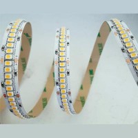Lampo Strip Striscia LED 3528 240led/m 24V 19.2W/mt Bobina 5