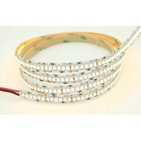 Lampo Strip Striscia LED 3528 240led/m 24V 19.2W/mt Bobina 5