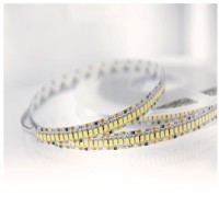 Lampo Strip Striscia LED 3528 240led/m 24V 19.2W/mt Bobina 5
