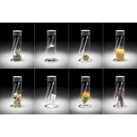 Rotaliana Chiardiluna Portable Dimmable LED Lamp with Wireless