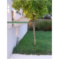 iLed Clivo 2 Faretto LED Esterno Luce Calda Proiettore da Terra