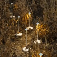 Zafferano Pina Pro LED Lampada A Batteria Dimmerabile Zafferano Pina Pro LED Lampada A Batteria Dimmerabile