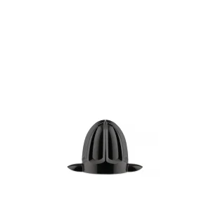 Alessi Cono per...