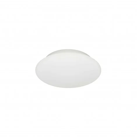 Linea Light MyWhite_R LED Lamp Double Emission Ceiling Light