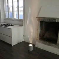 Artemide Cosmic Leaf Floor Lamp with Diffused Light Modern