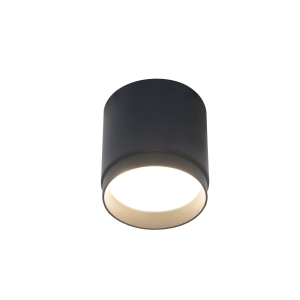Maytoni Polar ceiling lamp