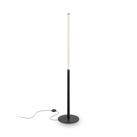 Maytoni Ray floor lamp