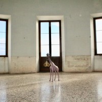 Qeeboo Giraffe In Love XS 100 cm Indoor Giraffe with E14 LED