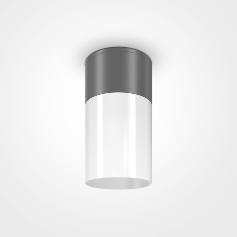 Maytoni Willis outdoor ceiling lamp