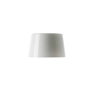 Foscarini Glass for Lumiere...