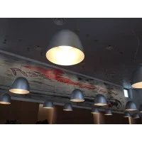 Artemide Nur Direct Light Suspension Dome Lamp Design By