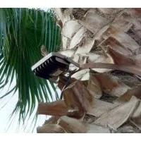 Beneito Faure Sky 10W Switch Tunable White LED Adjustable
