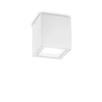 Ideal Lux Techo PL1 Big Cube Ceiling Plafòn Lamp for Outdoor Ideal Lux Techo PL1 Big Cube Ceiling Plafòn Lamp for Outdoor
