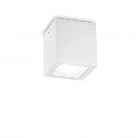 Ideal Lux Techo PL1 Big Cube Ceiling Plafòn Lamp for Outdoor