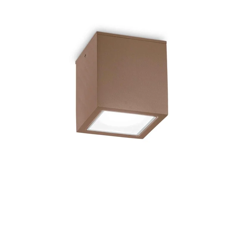 Ideal Lux Techo PL1 Big Cube Ceiling Plafòn Lamp for Outdoor Ideal Lux Techo PL1 Big Cube Ceiling Plafòn Lamp for Outdoor