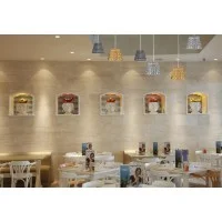 iGuzzini Sirolo Pendant S LED Acrylic Suspension Lamp by Pio &