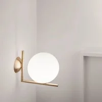 Flos IC C / W1 Outdoor Wall or Ceiling Lamp in Glass for