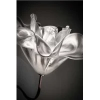 Slamp Lafleur Applique Dimmable LED Wall Lamp for Indoor By