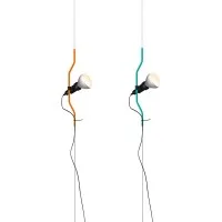 Flos Parentesi 50th anniversary Limited Edition
