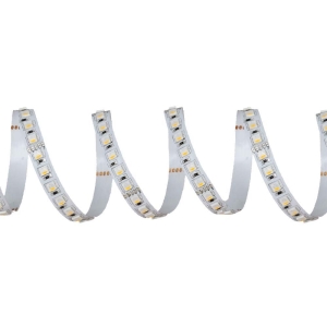 Lampo Strip Striscia LED RGBW 5050 60led/m 24V 19.2W/mt Bobina