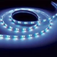 Lampo Strip Striscia LED RGBW 5050 60led/m 24V 19.2W/mt Bobina