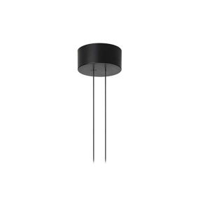 Flos Arrangements Small Rose MAX 70W by Michael Anastassiades