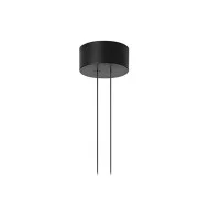 Flos Arrangements Big Rose MAX 190W by Michael Anastassiades