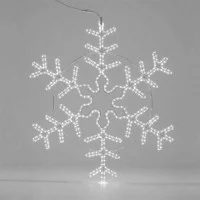 New Lamps Snowflake FLEXINEON 36 LED 2D Clear Fixed Light IP44