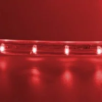 New Lamps Holly FLEXINEON 36 LED 2D 110x150cm with Fixed