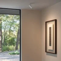 Flos C1 Mono Spot Ceiling Small Ø35 Adjustable LED Spotlight By