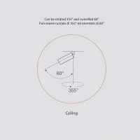 Flos C1 Mono Spot Ceiling Small Ø35 Faretto LED Orientabile By
