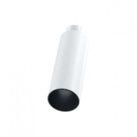 Flos C1 Mono Spot Ceiling Large Ø56 Faretto LED Orientabile By