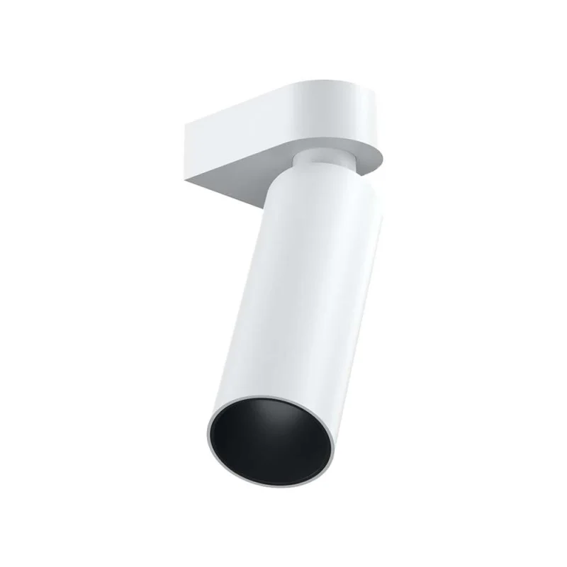 Flos C1 Mono Spot Wall Large Ø56 Adjustable LED Spotlight By Flos C1 Mono Spot Wall Large Ø56 Adjustable LED Spotlight By