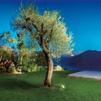 Beneito Faure Signal LED Arc Floodlight for Outdoor Black Color