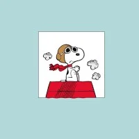 Zafferano POLDINA PRO x PEANUTS Limited Edition 20th